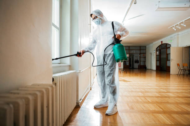 Best Real Estate Pest Inspections  in Meeker, CO